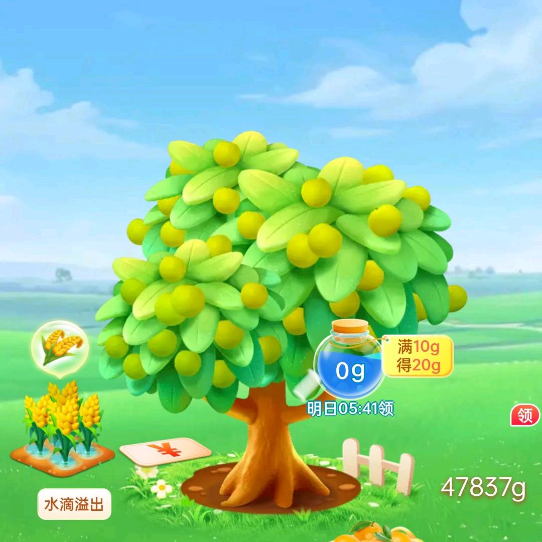 丁英