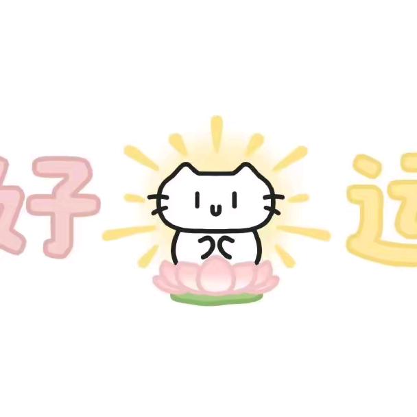 你的壳主任