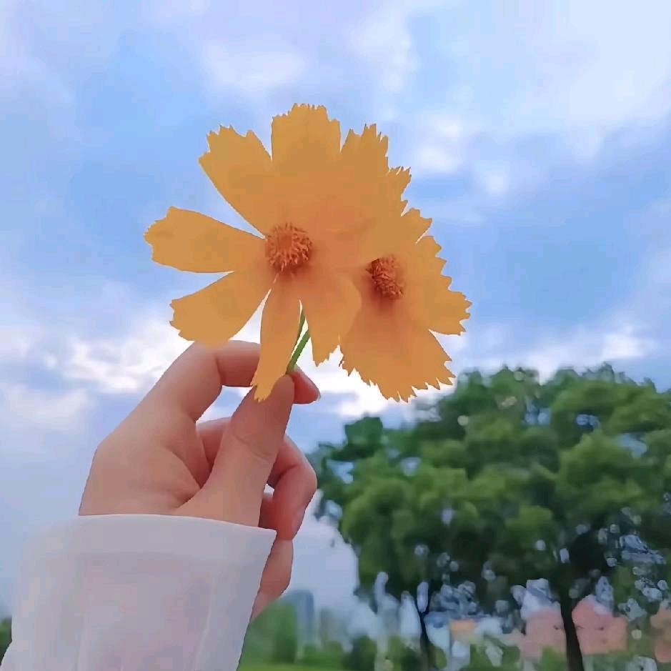 陳某某🌸