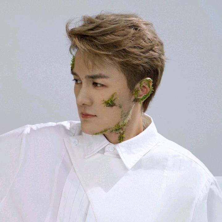 卟畏将来卟念过往