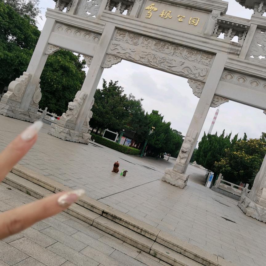 对方已重置……