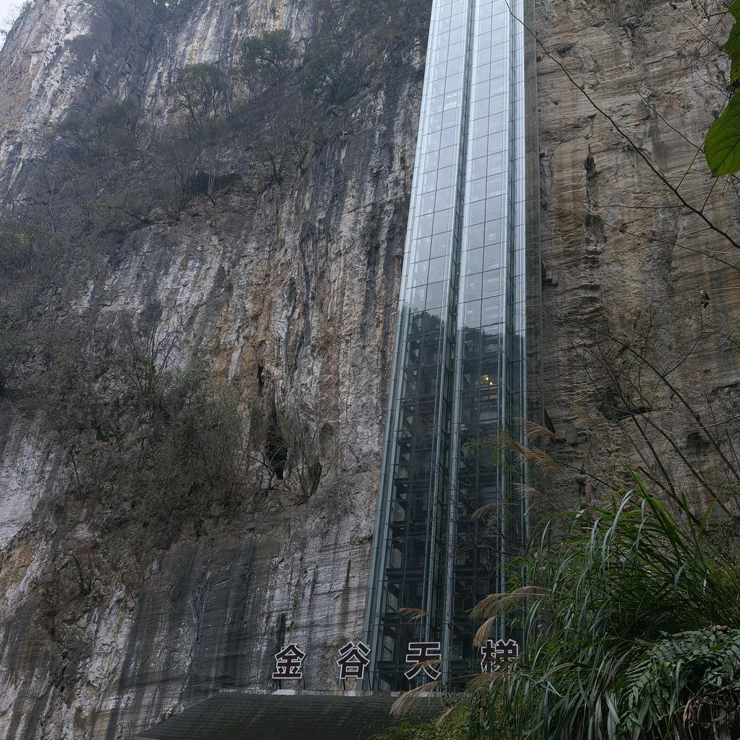 废机油——公益护农