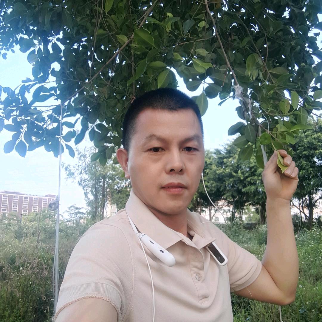 静歌-（聊播加带货暂停筹备中）