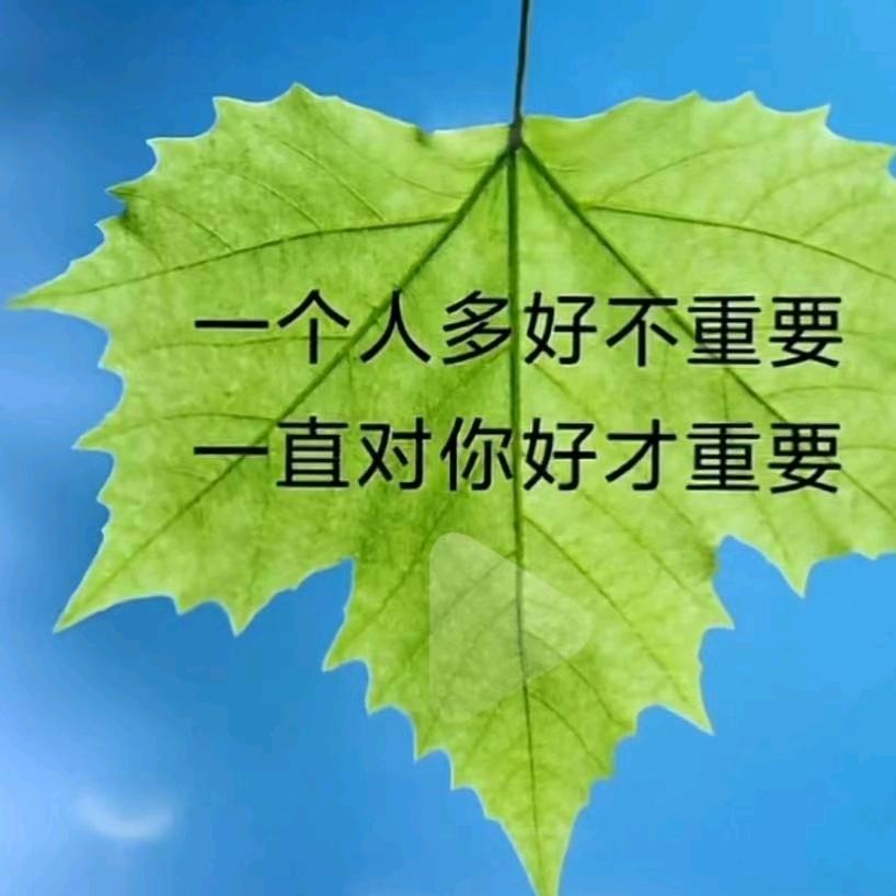 @小淘气645298
