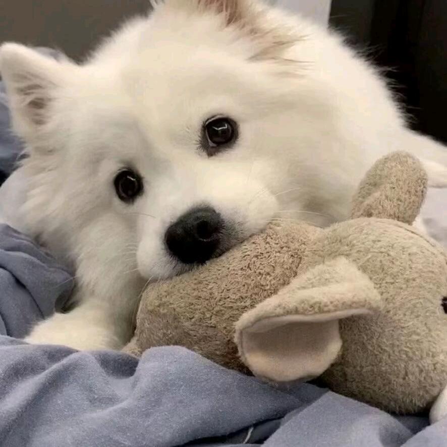 喝可乐走天下的小瓜