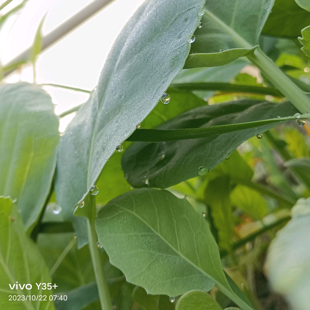 总有好运伴我行✨