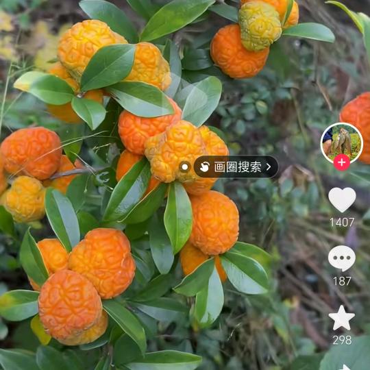 媚子制衣