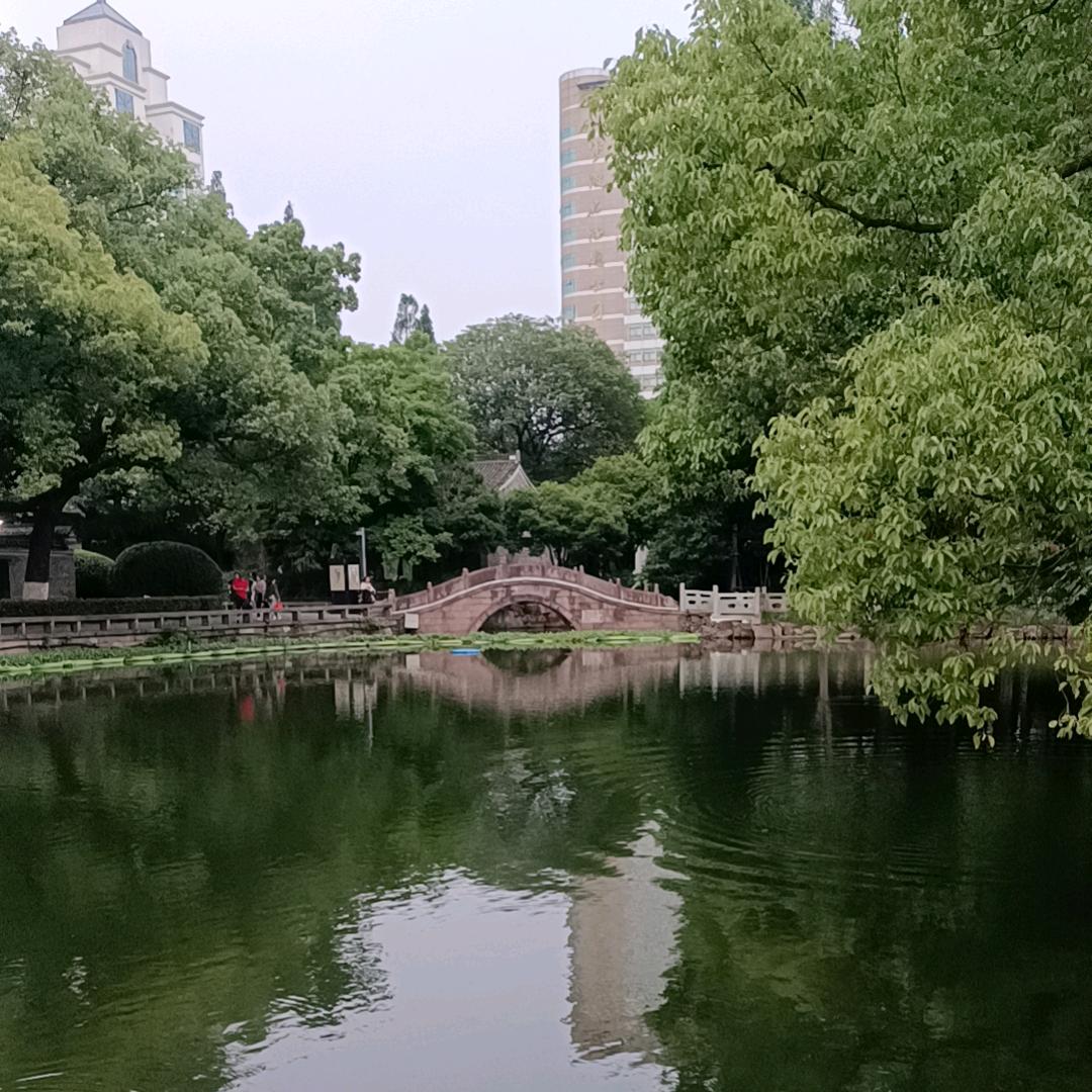 ꧁微笑😊💓᭄᪲ᩚ꯭꧔向钱℘꧂