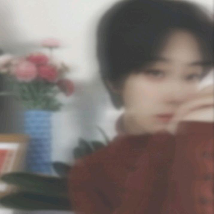 孟十安