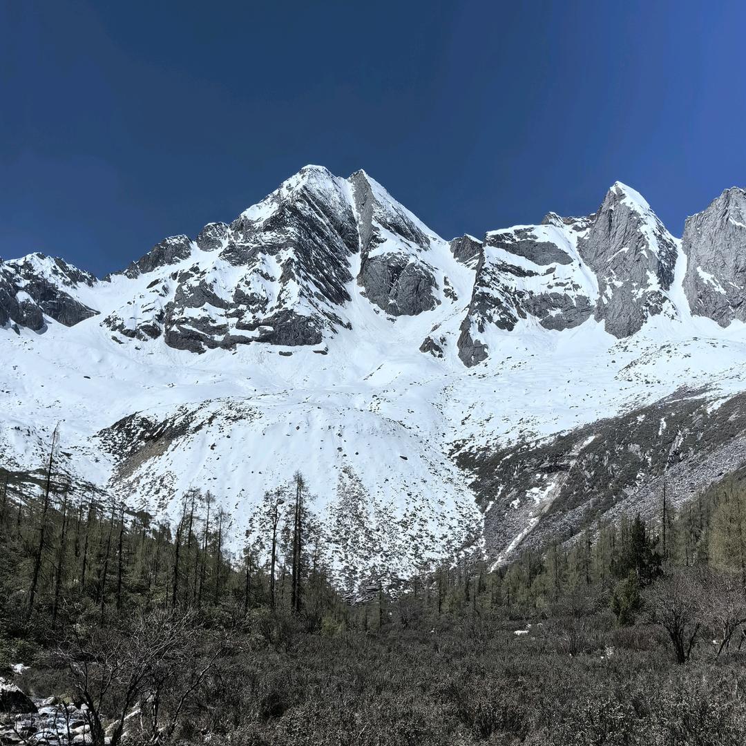 山居雅客—萨武