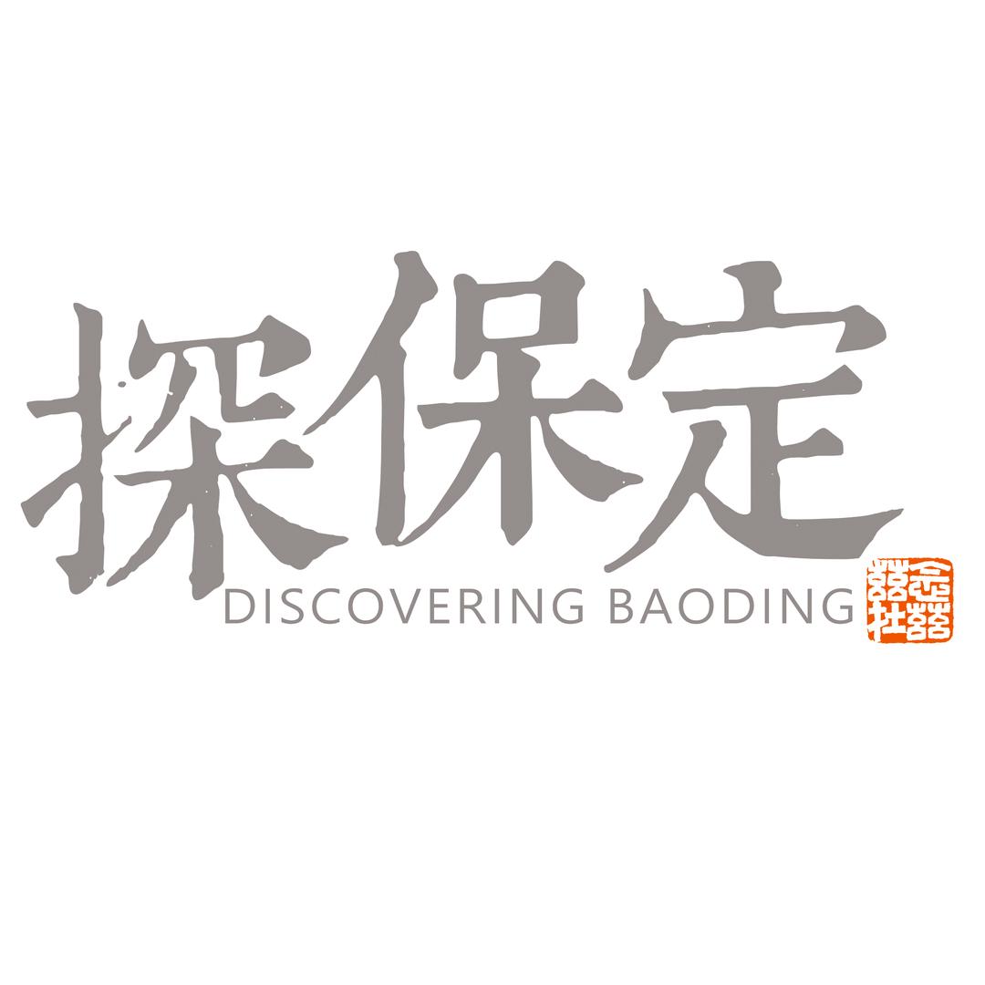 探保定ᴹᵃˣ