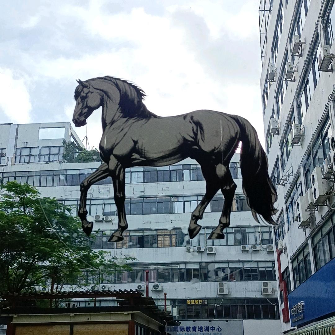 🐎追梦🐎