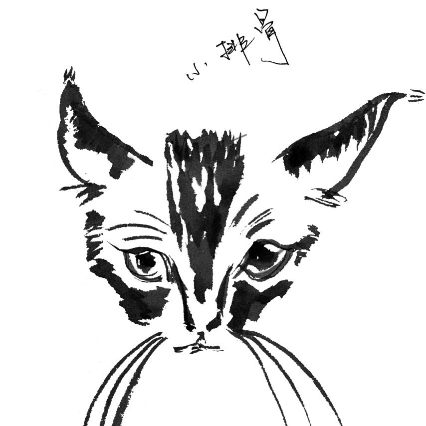 玊尔