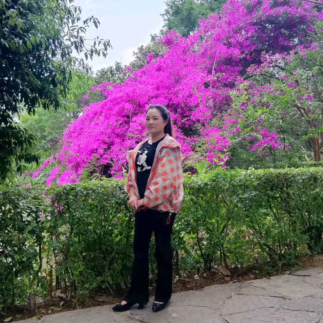 小幸运☀️☀️☀️🌹🌹🌹