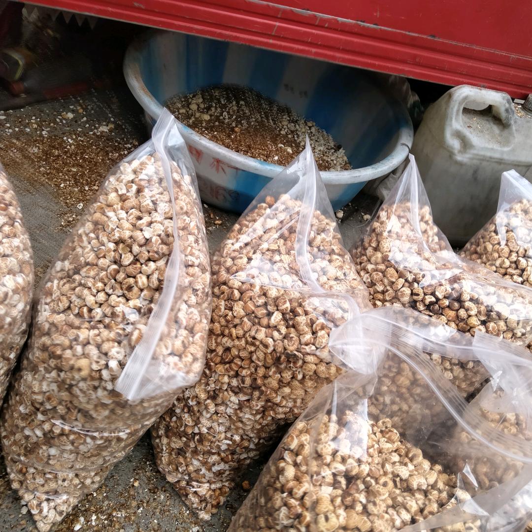 张哥，加工包谷花