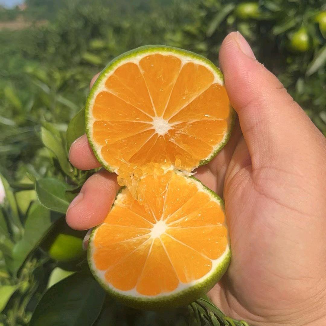 一个不像农民的农民