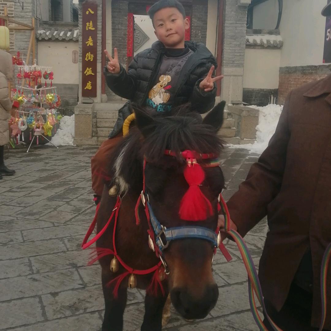 人生若只如初见