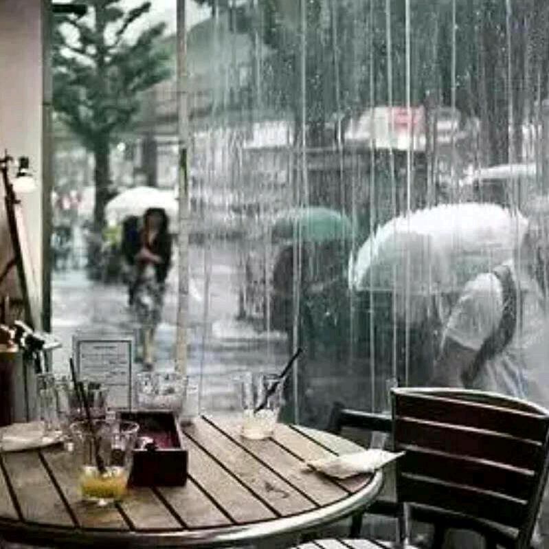 姓闫不是闫会长👻