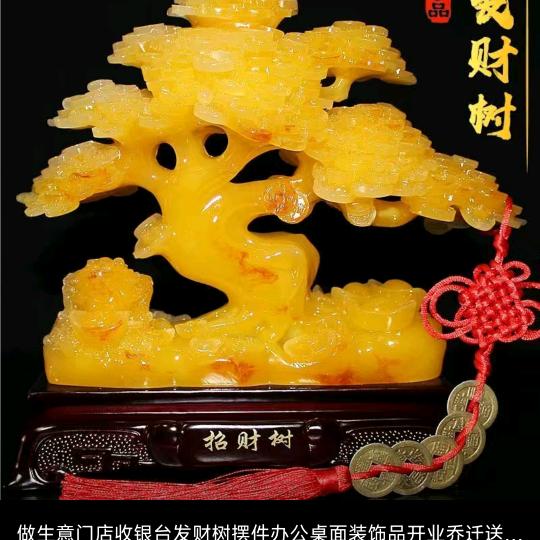金乐乐