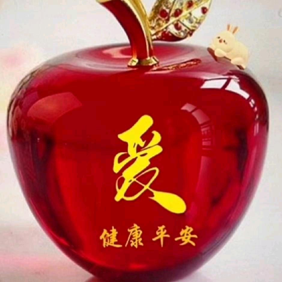 风雨中独行