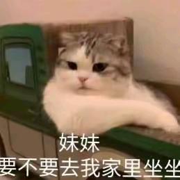略泽曲你们赢了