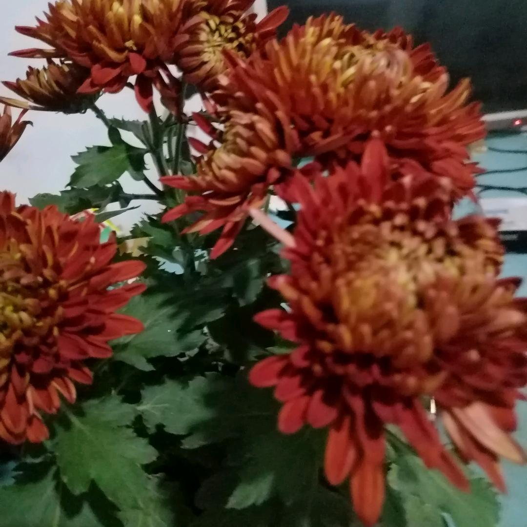 永远开心快乐。