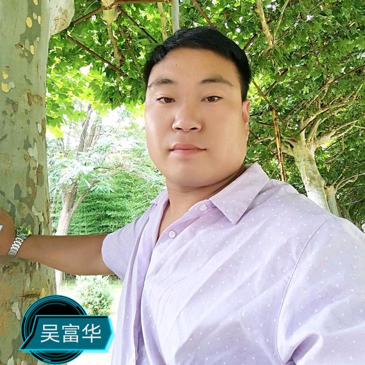 真心有你