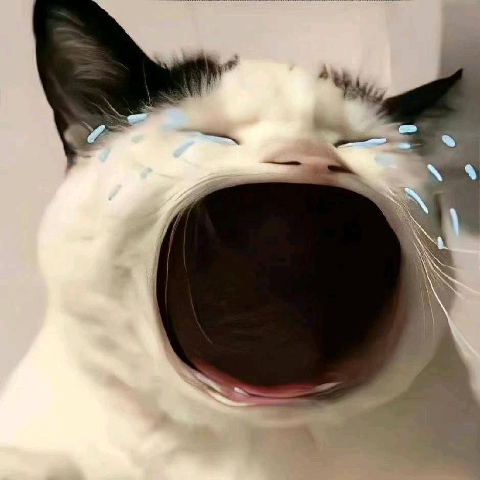 24.