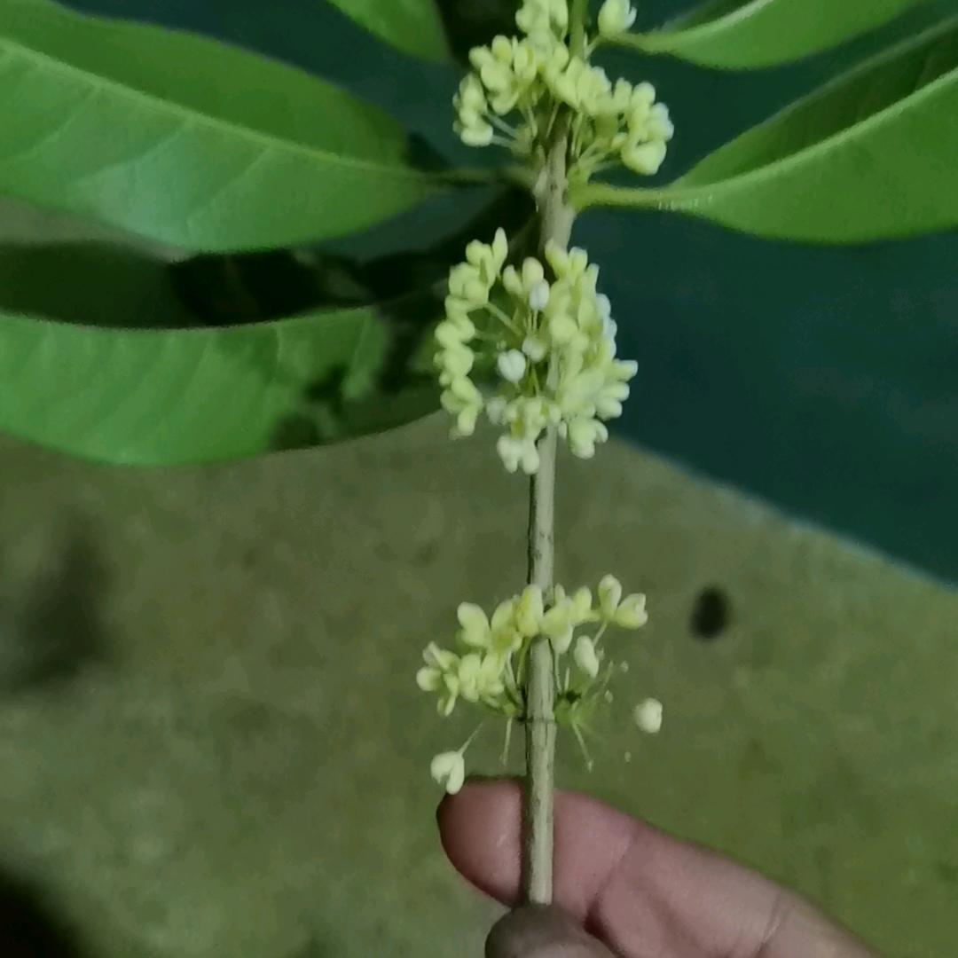 萍水相逢