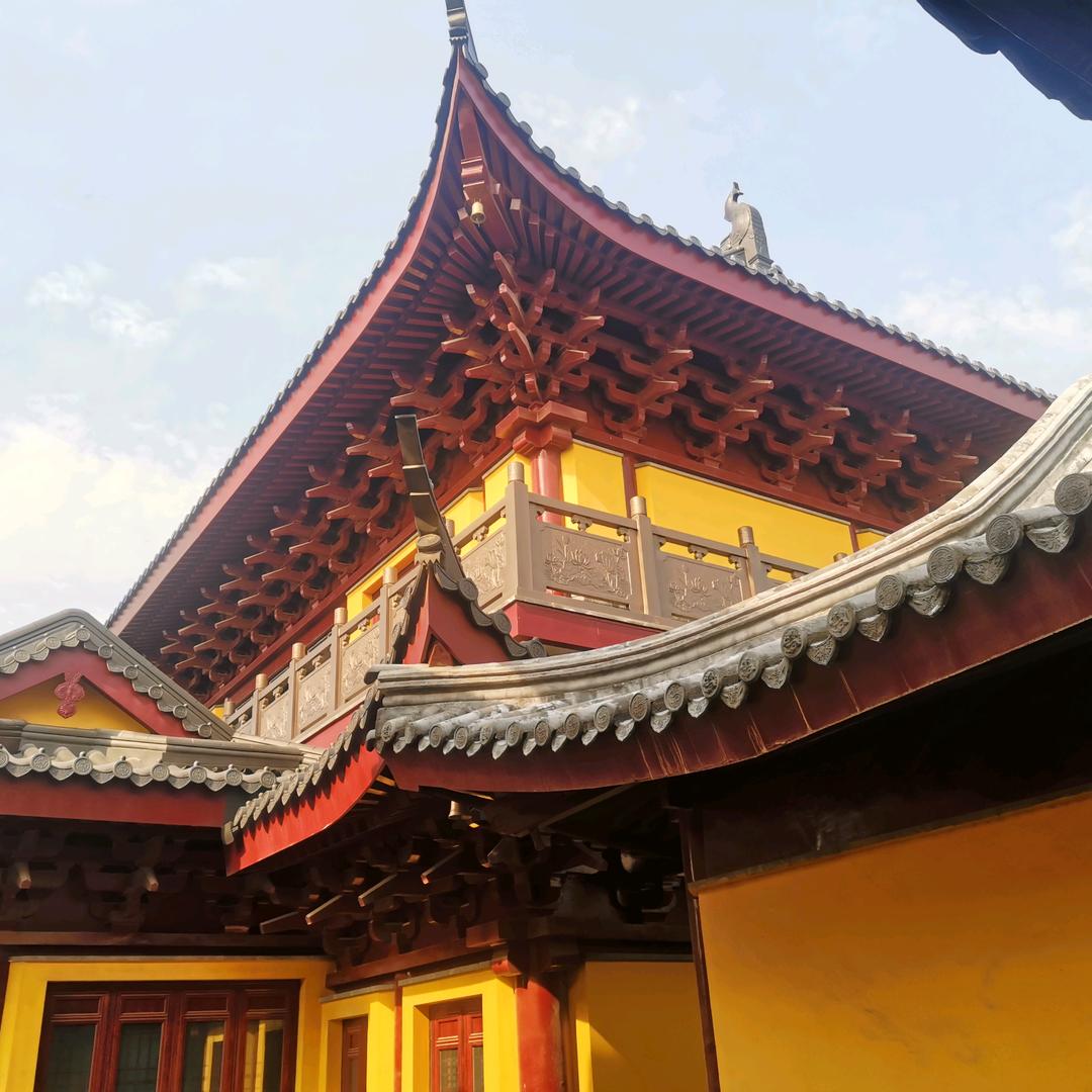 道在心中