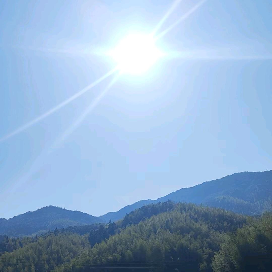 霞姐追剧