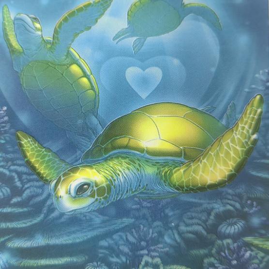 海洋之语🔮（可一对一）