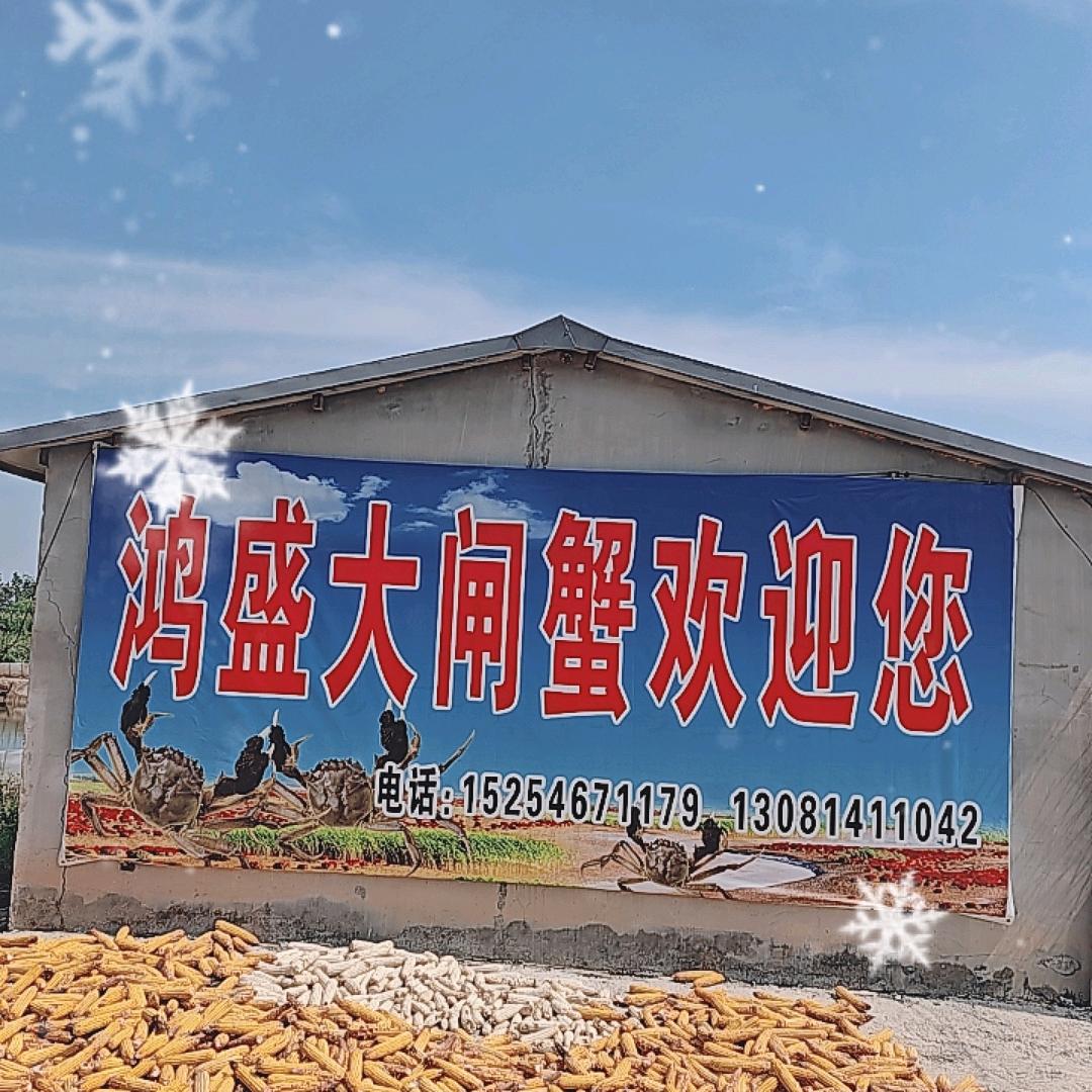 农村小伙(李二锤）