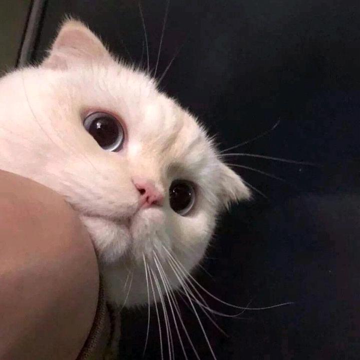 0901