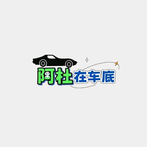 阿杜在车底@抖音