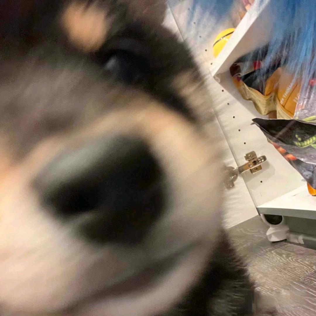 ～