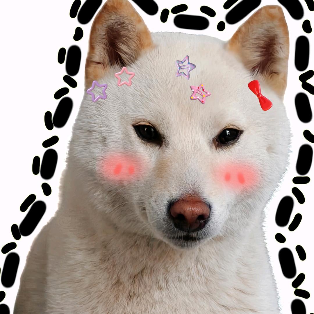 拧巴小鱼别失眠