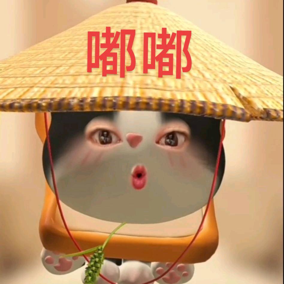 嘟嘟（文文）