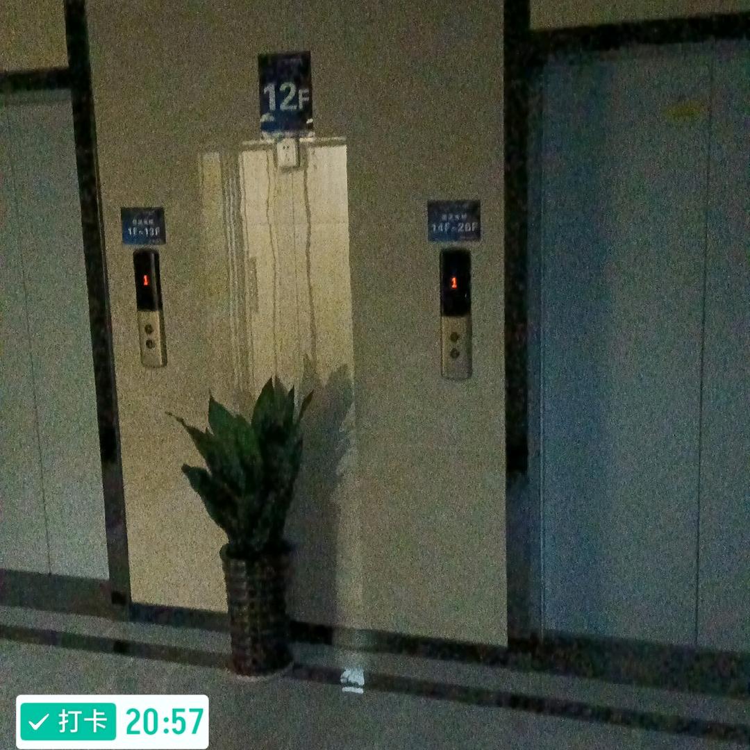 ／‘一