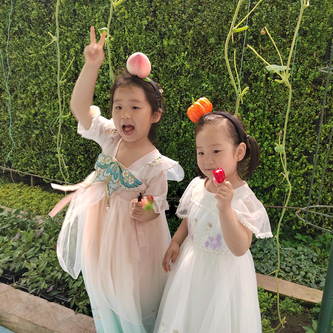 龙行（互关）涨粉