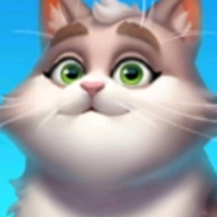 云朵ꦿོ༊（减肥版）