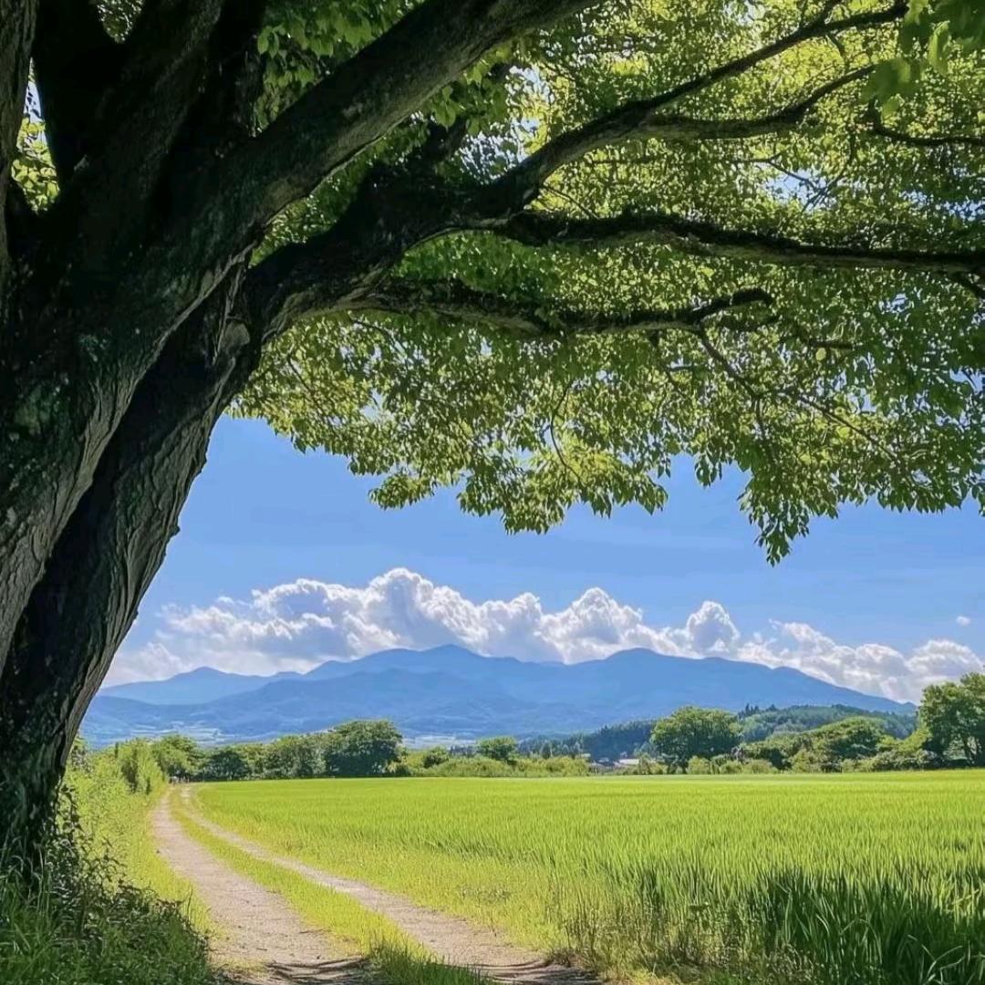 素伊幽兰