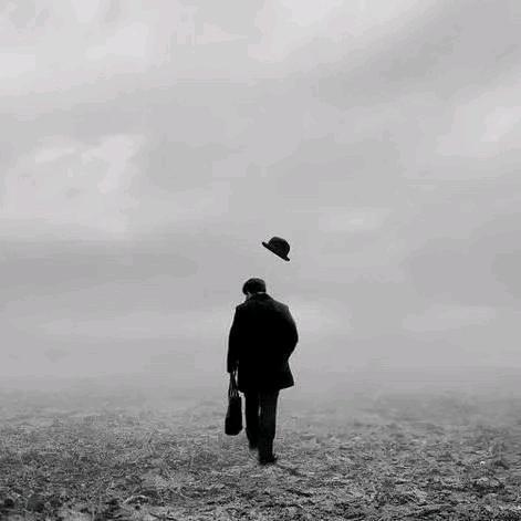 翻书吧阿伟「人文社科」