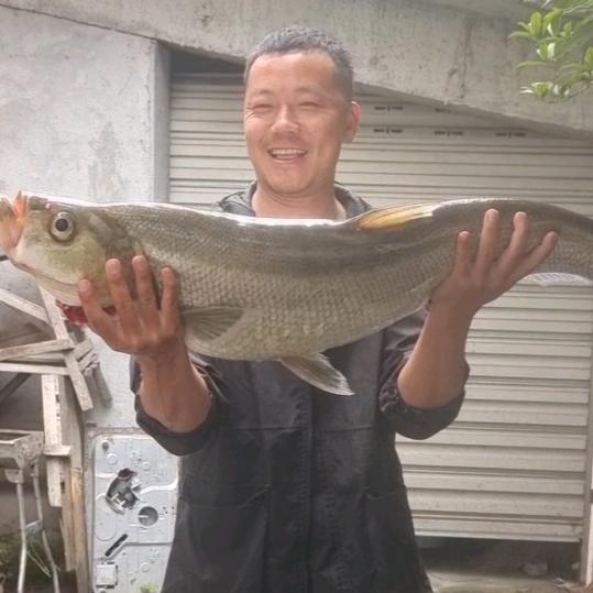 野钓😎老王