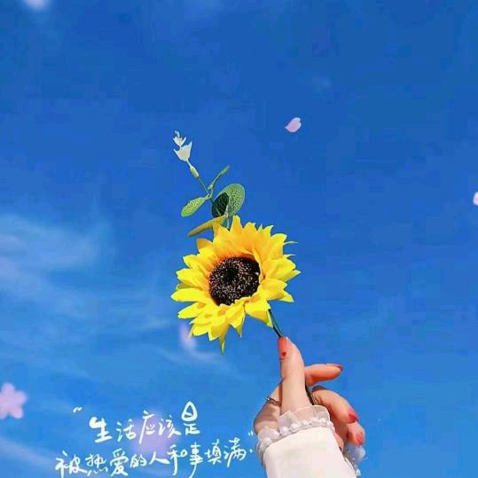 永远爱你👭👭