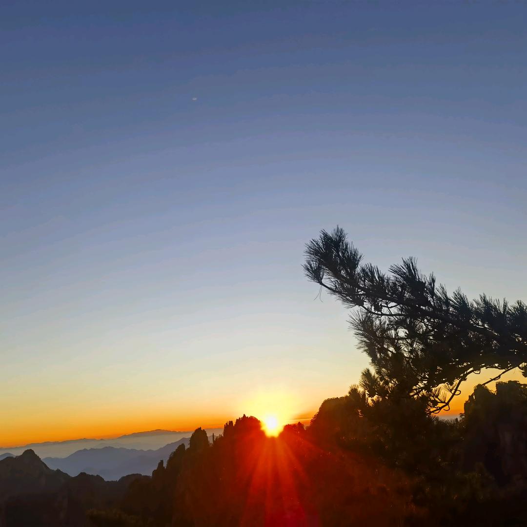 想吃木须肉肉肉肉