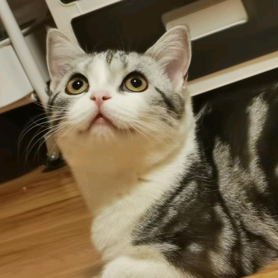 原来是甜妹呀