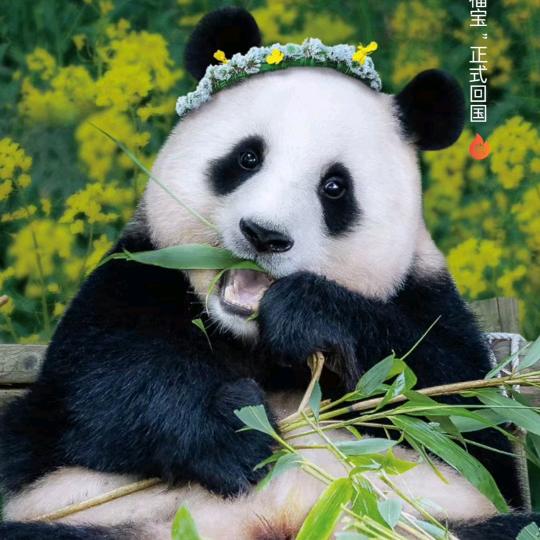 静心