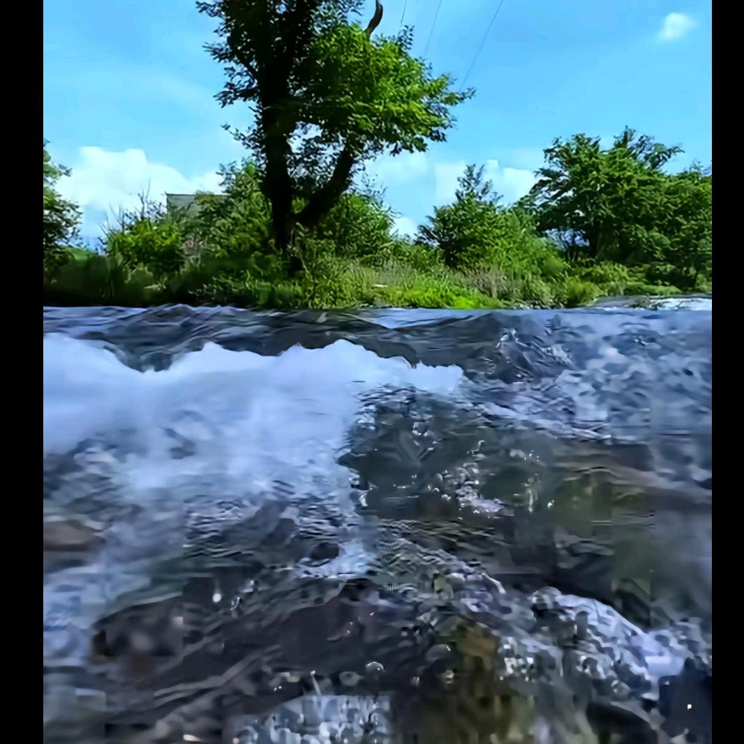 ꧁꫞年༃华꫞꧂