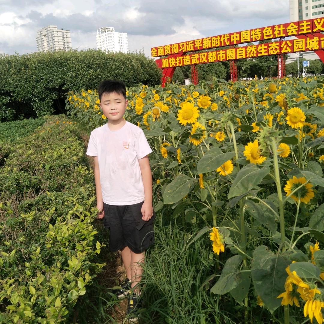 大力S张